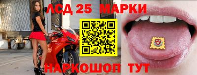 тгк Краснодар