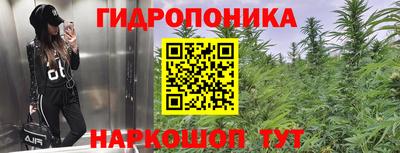 мдпв Краснознаменск